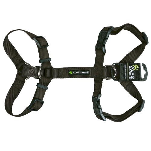 PETTORINA REFLECTIVE H PRO
