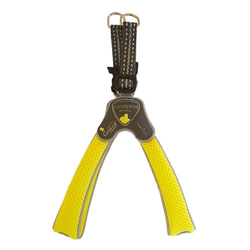 Pettorina cane coralpina cinquetorri