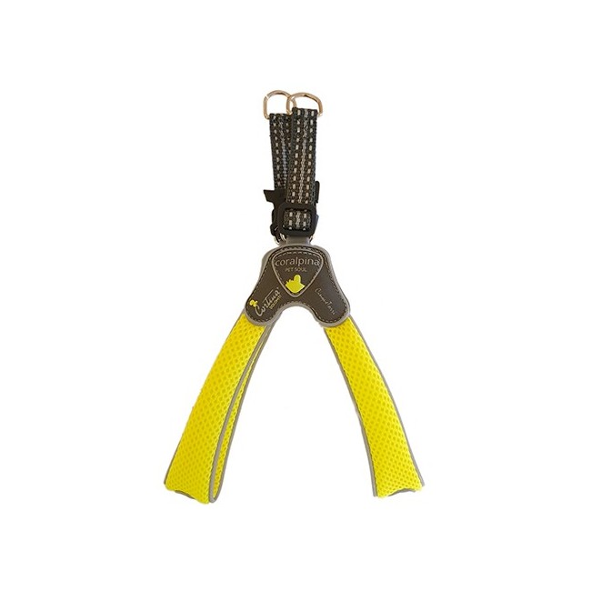 Pettorina cane coralpina cinquetorri