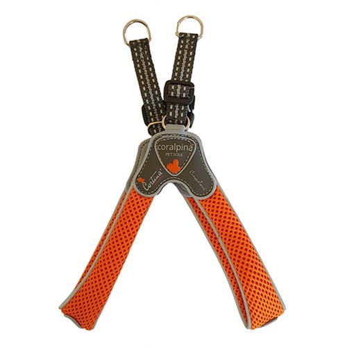 Pettorina cane coralpina cinquetorri