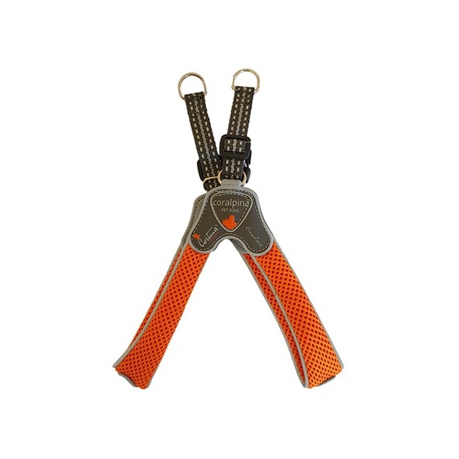 Pettorina cane coralpina cinquetorri